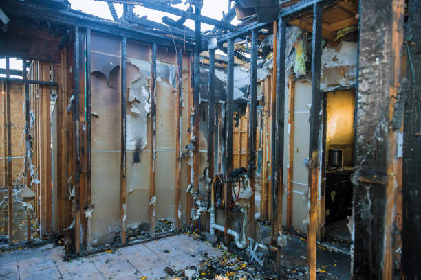 Professional Fire Damage Repair technician working in Dwight, IL